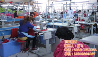 t恤衫工廠,京嘉服飾 已認證 ,t恤衫最低優惠價格